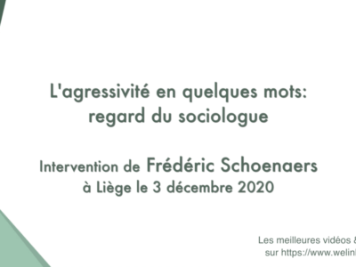 L'agressivité en quelques mots: regard du sociologue (Frédéric Schoenaers)