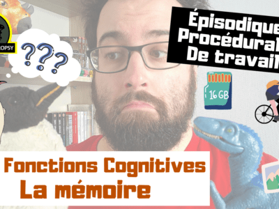 Fonctions Cognitives - La Mémoire