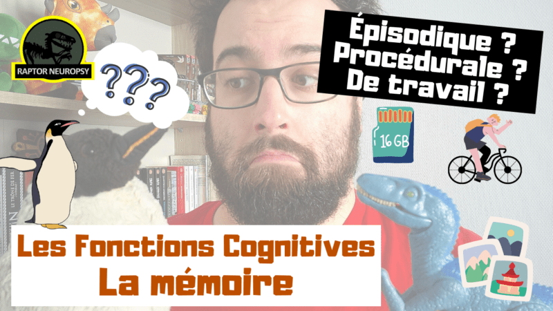 Fonctions Cognitives - La Mémoire