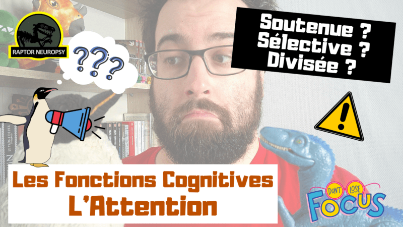 Fonctions Cognitives - L'Attention