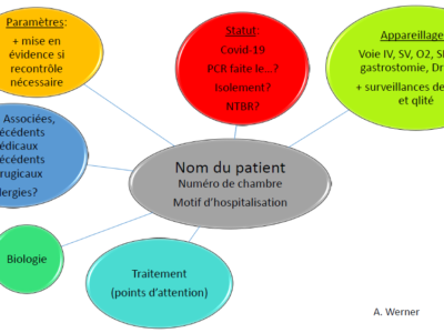 Carte conceptuelle: Invitation à la démarche réflexive infirmière - démarche et raisonnement clinique (DRC)
